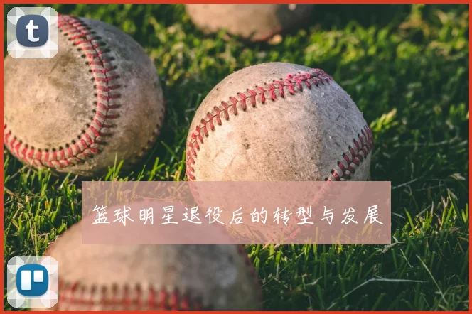 篮球明星退役后的转型与发展